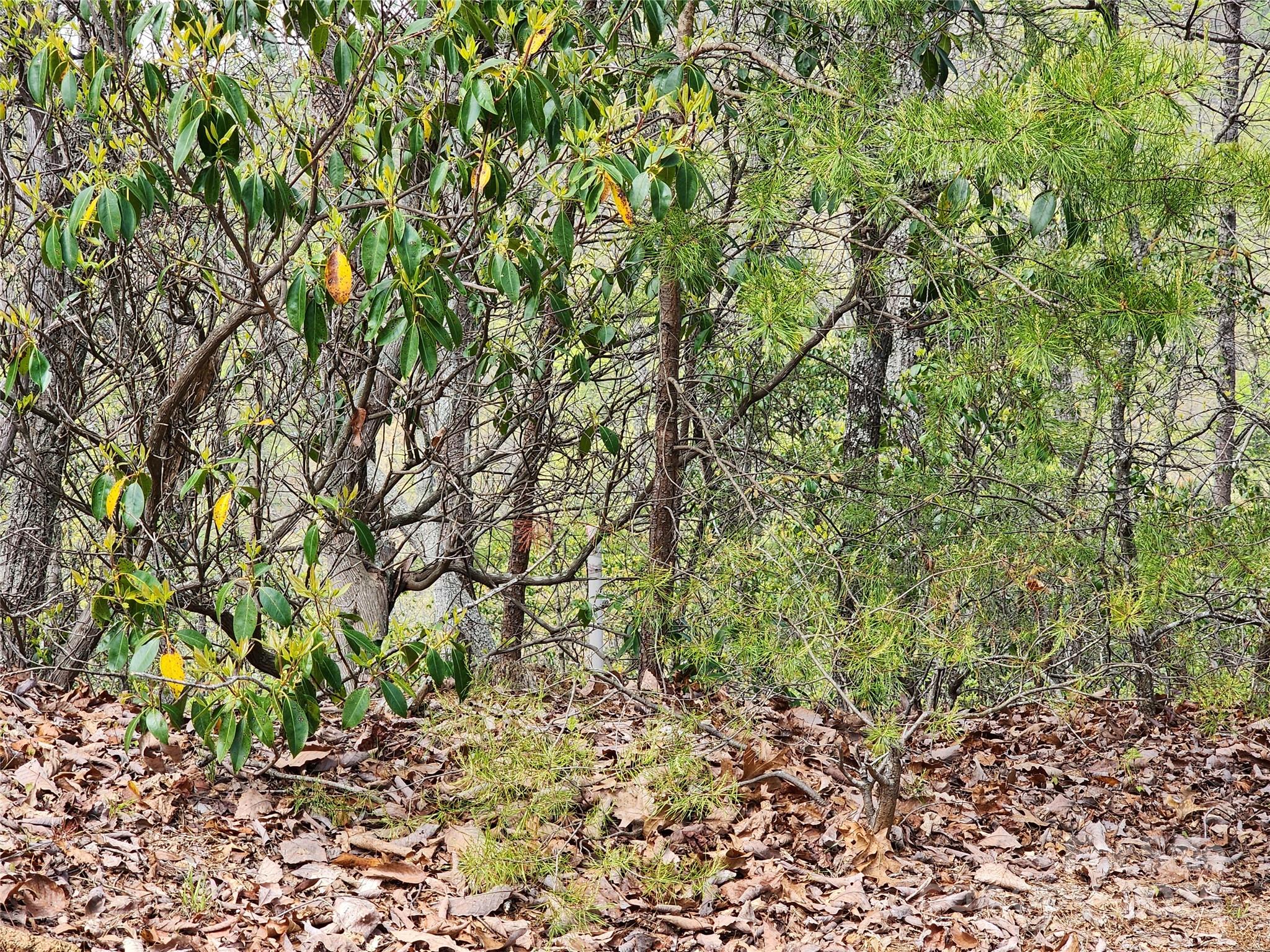 Golden Valley Estates - Land