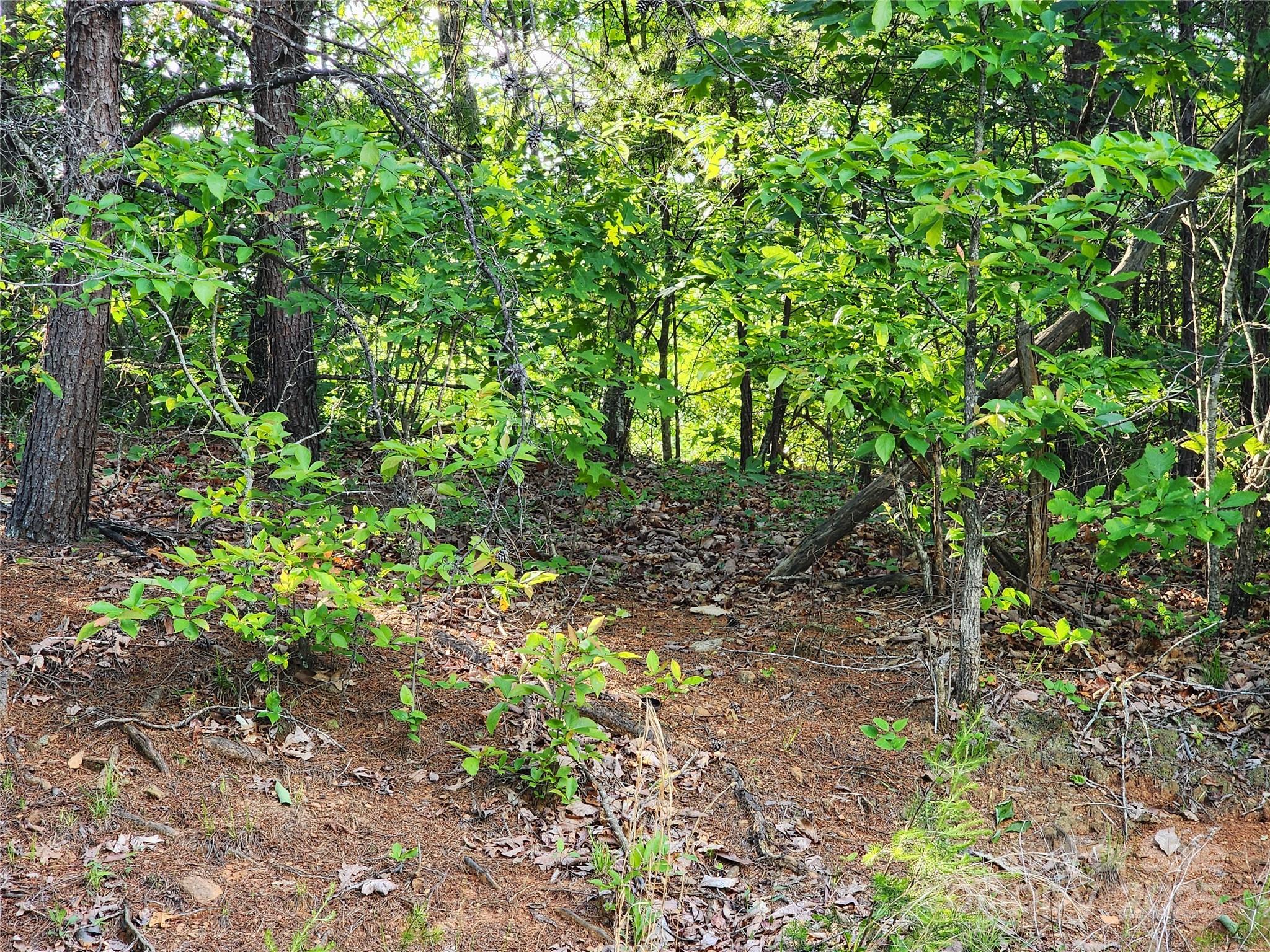 Golden Valley Estates - Land