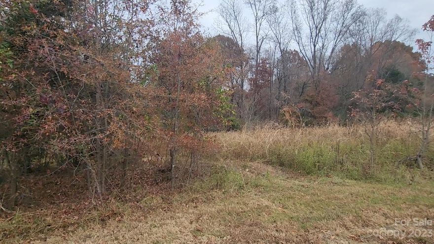 Investors, builders, or individuals looking to build your very own dream home.  This lot is in The Paddocks subdivision in Maiden. Small and quiet neighborhood with hard to find large lots.  Catawba County low taxes.  There are a total of 15 lots available.  Located in a convenient area close to I-40, Highway 321, the Apple plant, and Jacob Fork Park. Feel free to ride out and walk the properties.