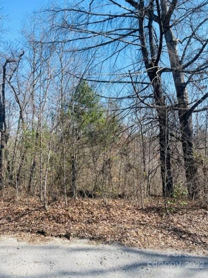 Nice 1/2lot in a quiet neighborhood ready to build your dream home. Gently sloping lot has paved road frontage and access to county water for a tap fee.