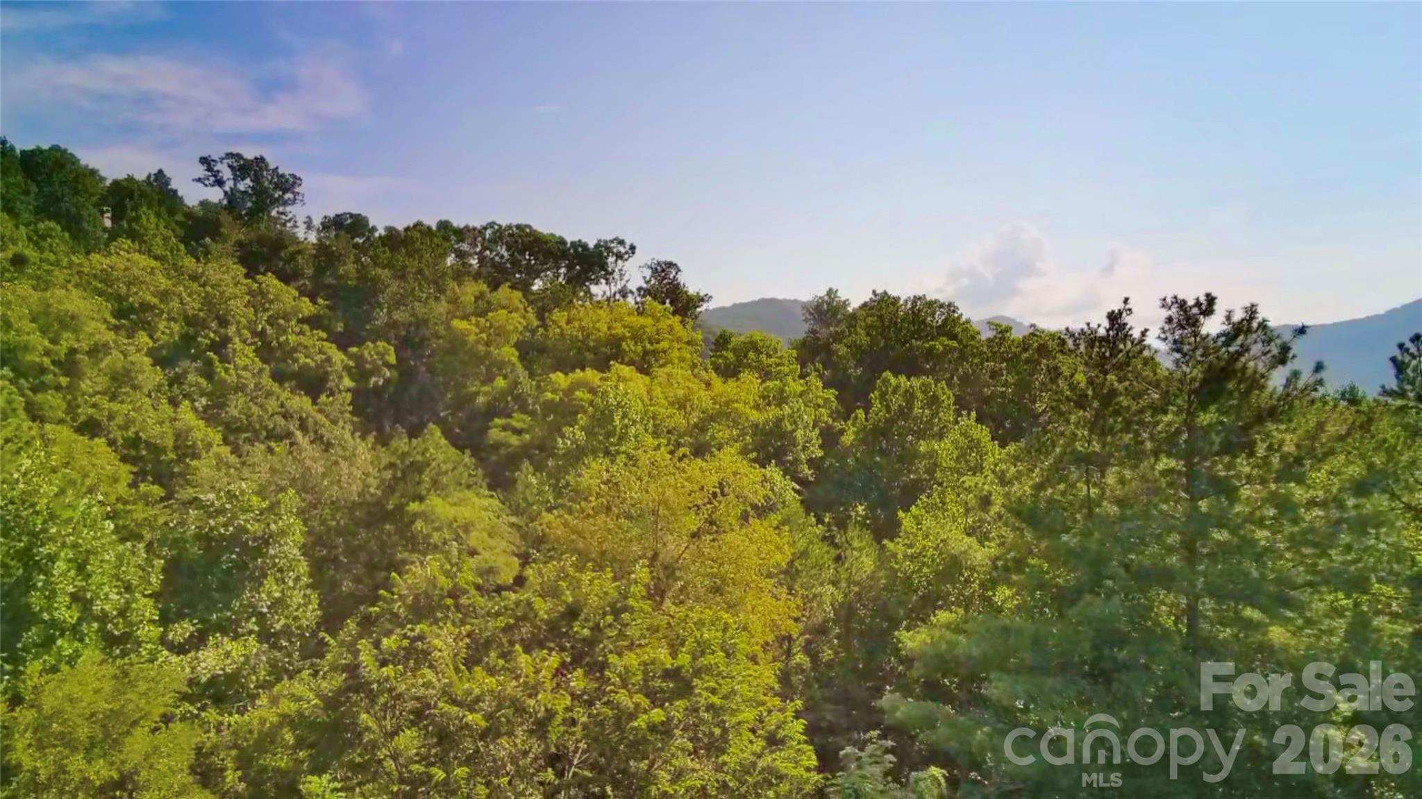 99999 Elk Mountain Ridge 12