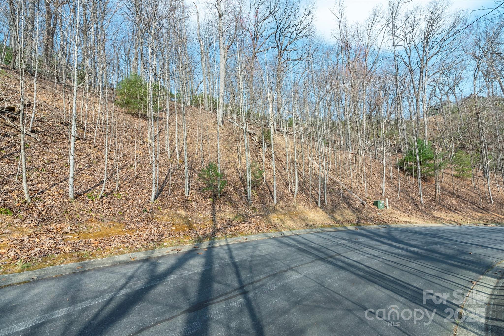 0 Shining Rock Path 12