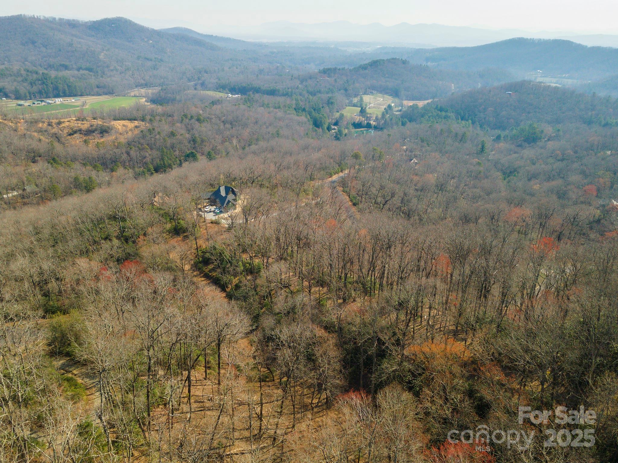 Homestead at Mills River - Land