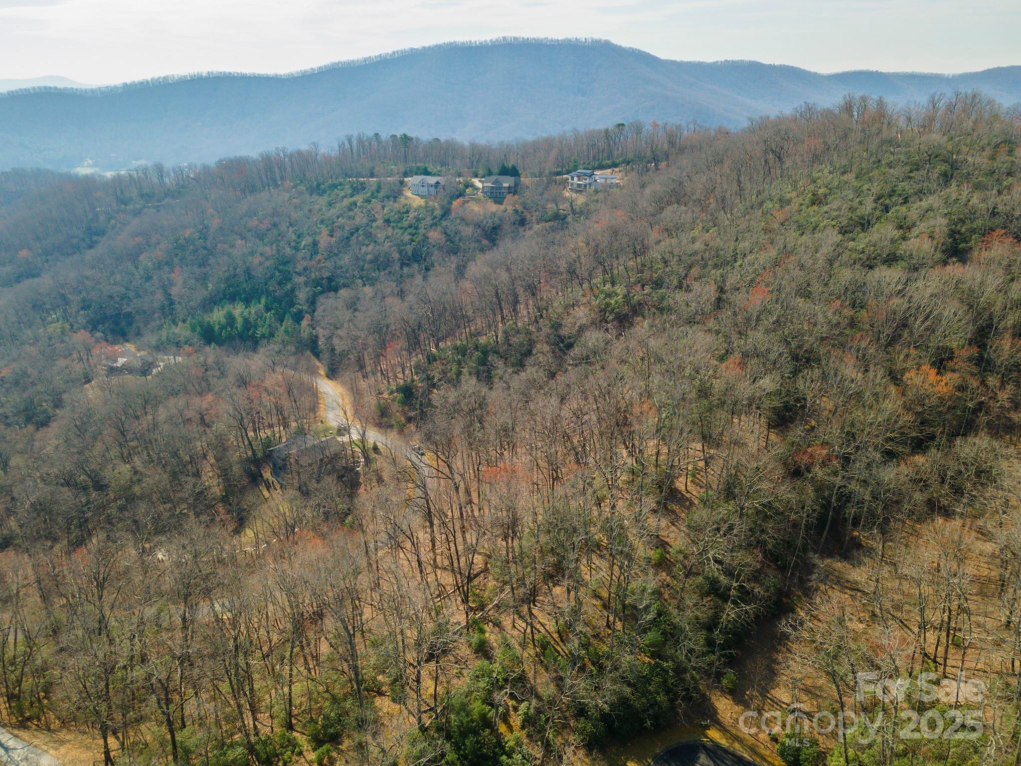 Homestead at Mills River - Land