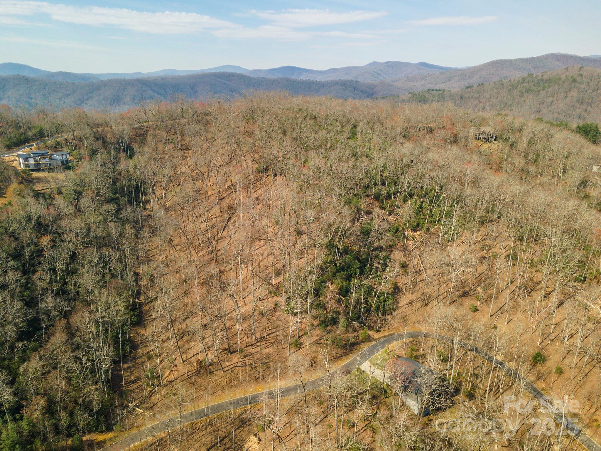Homestead at Mills River - Land
