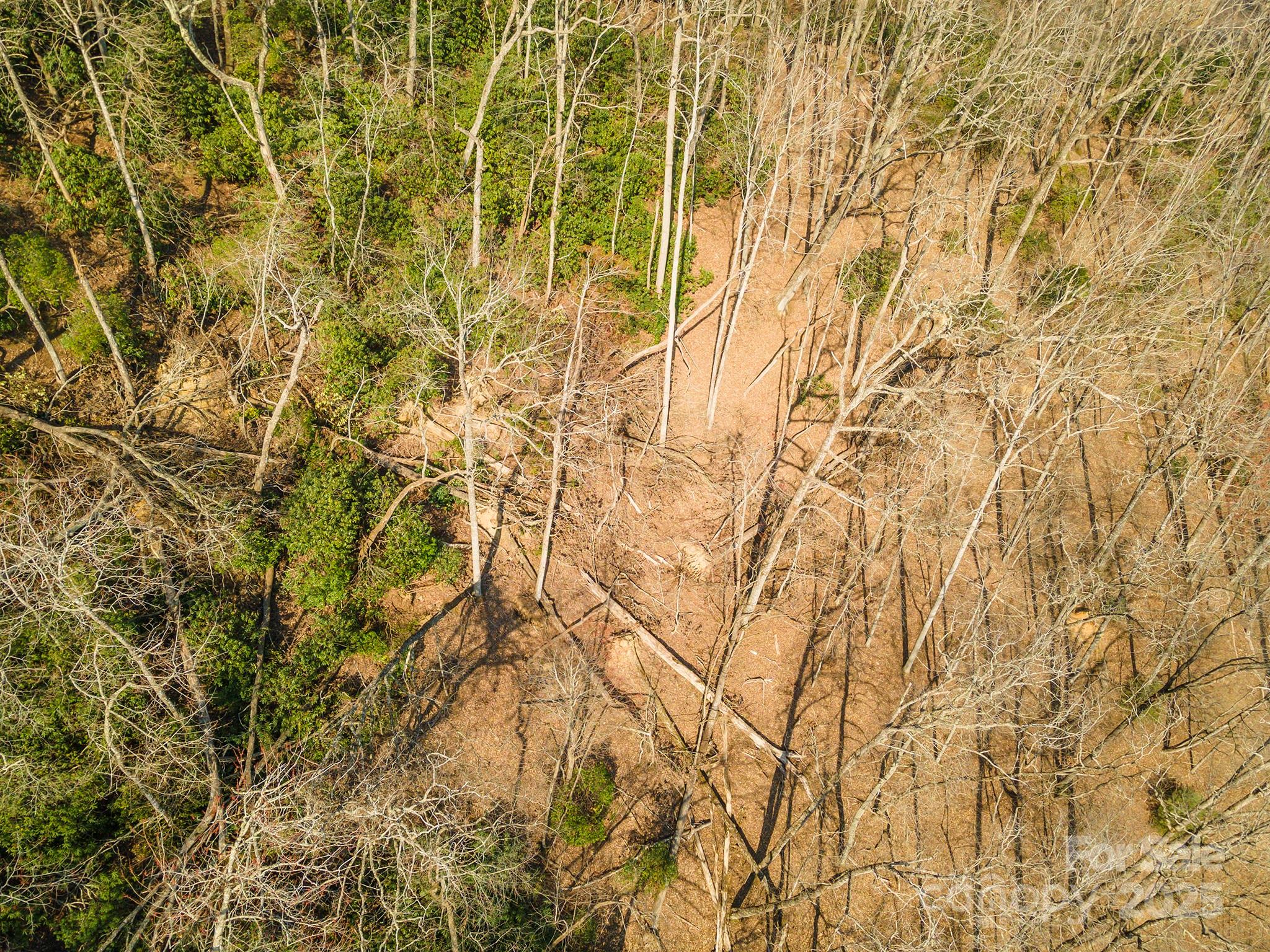 Homestead at Mills River - Land