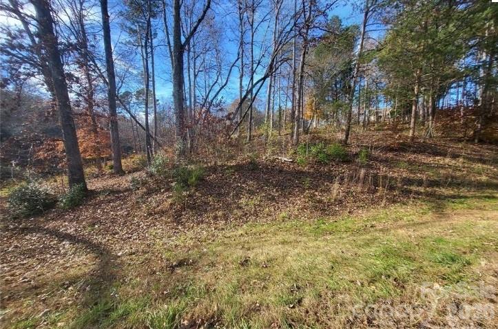 Buffalo Shoals Natl Golf Club - Land