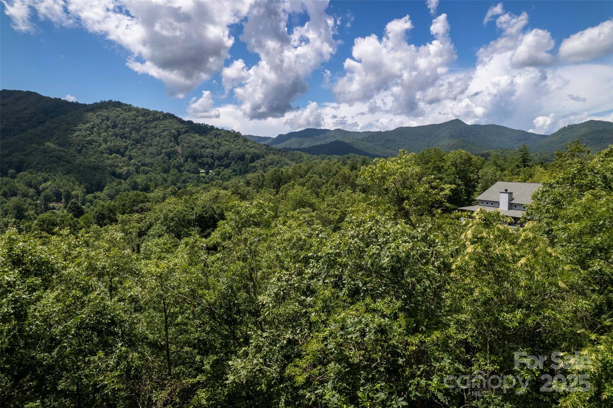 Cole Mountain - Residential