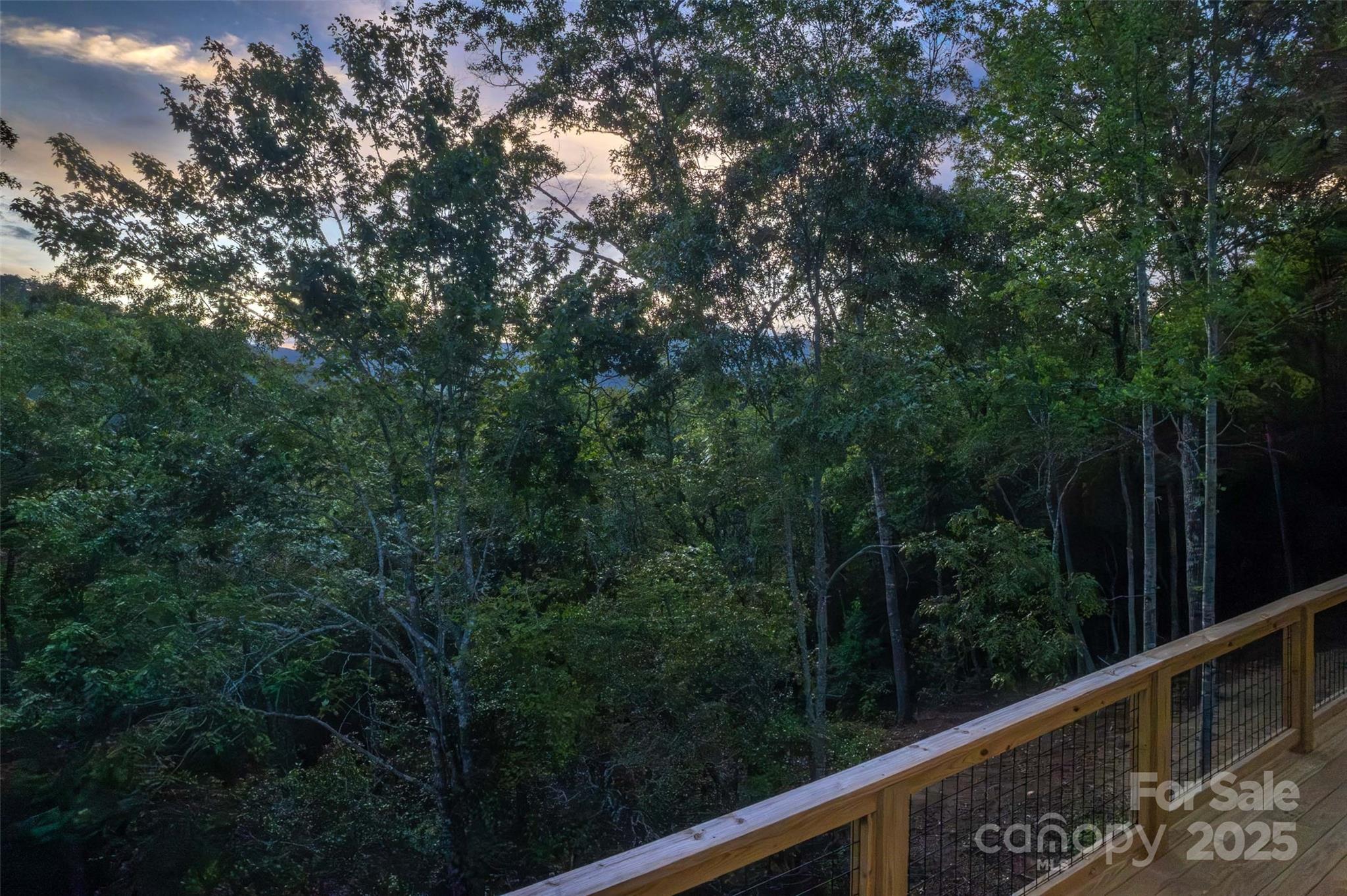 Cole Mountain - Residential