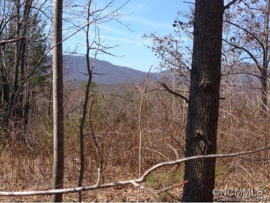 If seclusion is what you are after, this is the lot for you.  Surrounded by Nature Conservancy land and close to the Blue Wall Preserve.  Great spot for your cabin in the woods without a long drive to civilization.  Well in place, septic needed.  Seller may grant access to a boat house on Lake Lanier.