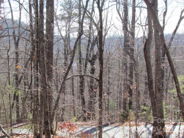 Lake Lanier - Land