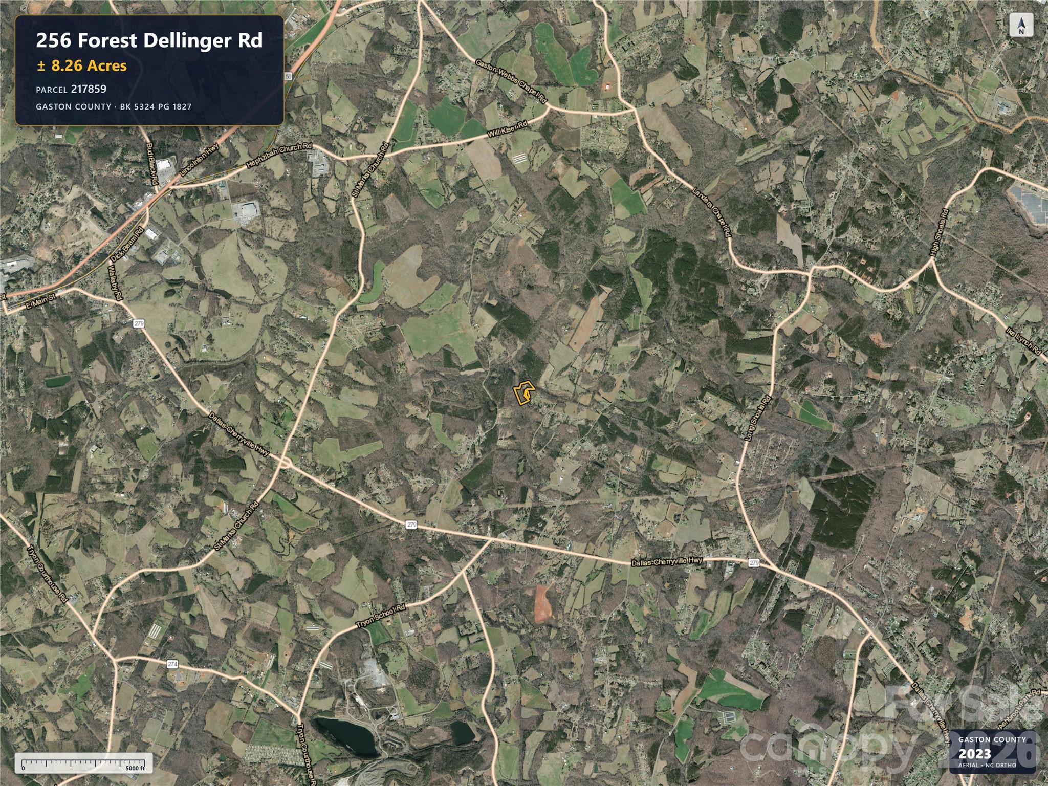 256 Forest Dellinger Road