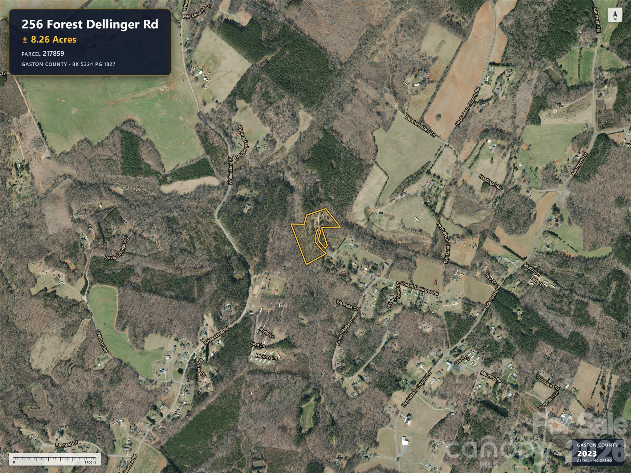 256 Forest Dellinger Road