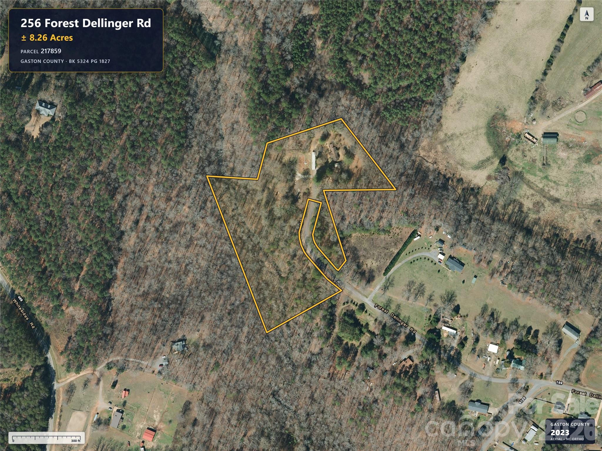 256 Forest Dellinger Road