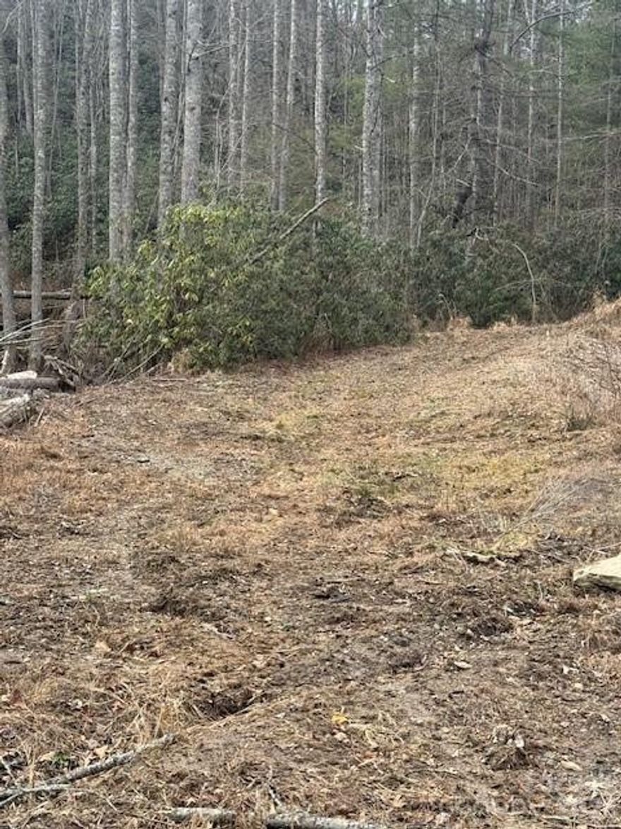 Don't miss out on the opportunity to build your forever home or a vacation home on this 2+ acres. This is 4 lots being sold together. Great location close to both Hendersonville and Brevard in Etowah NC. Lots are sloped and wooded and has great potential.