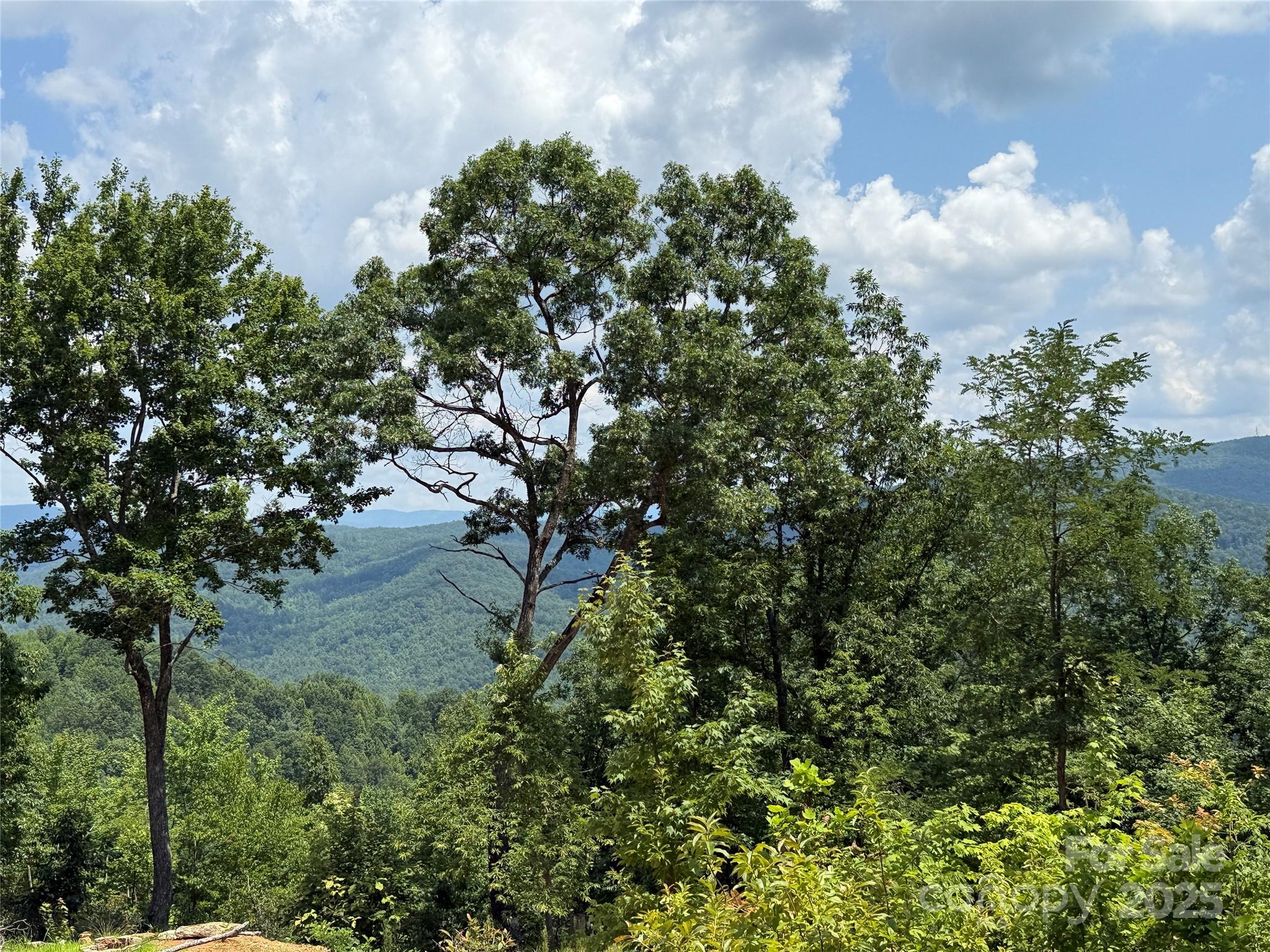 Buck Mountain - Land