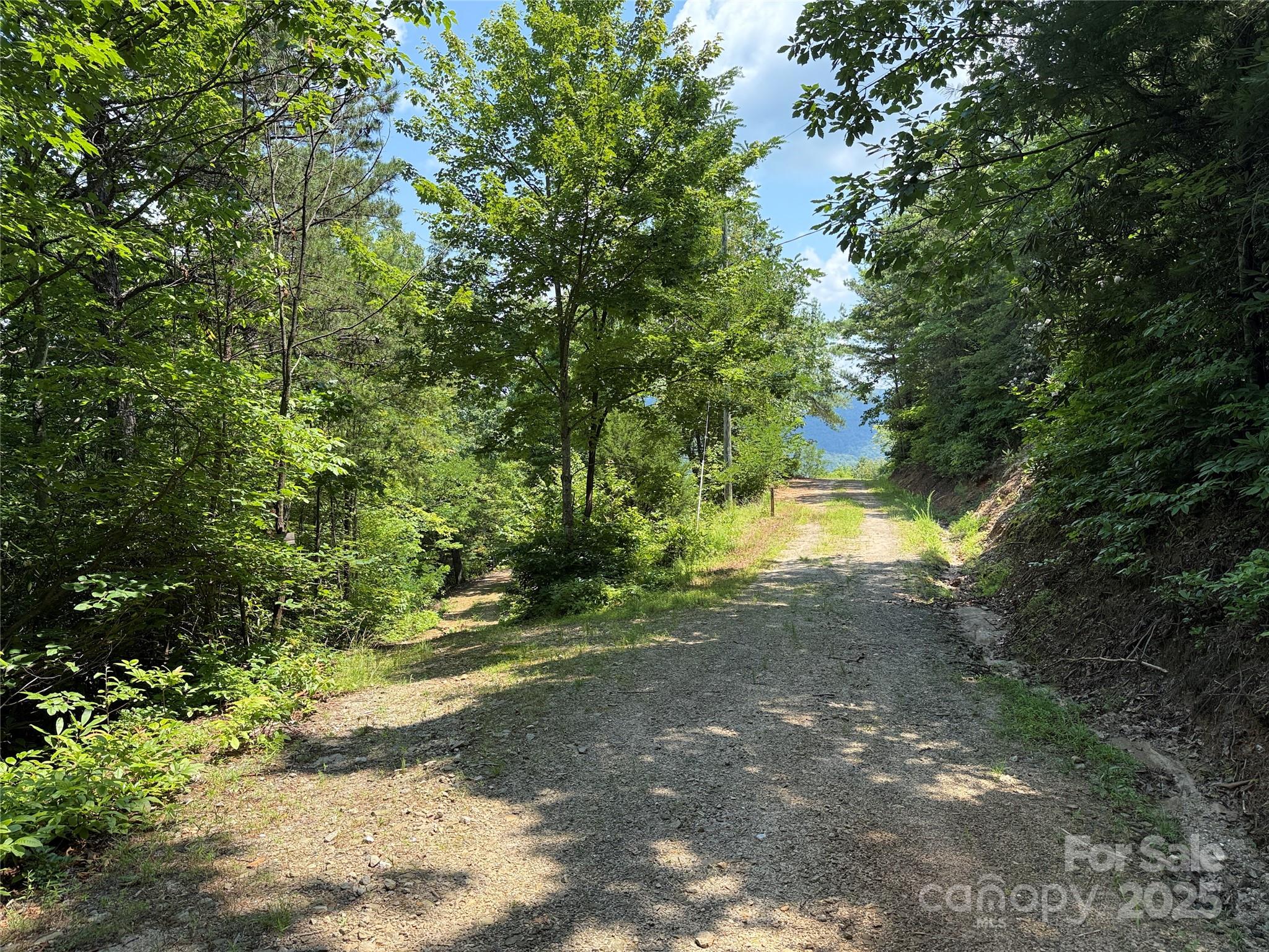 337 Lucas Path Drive 69