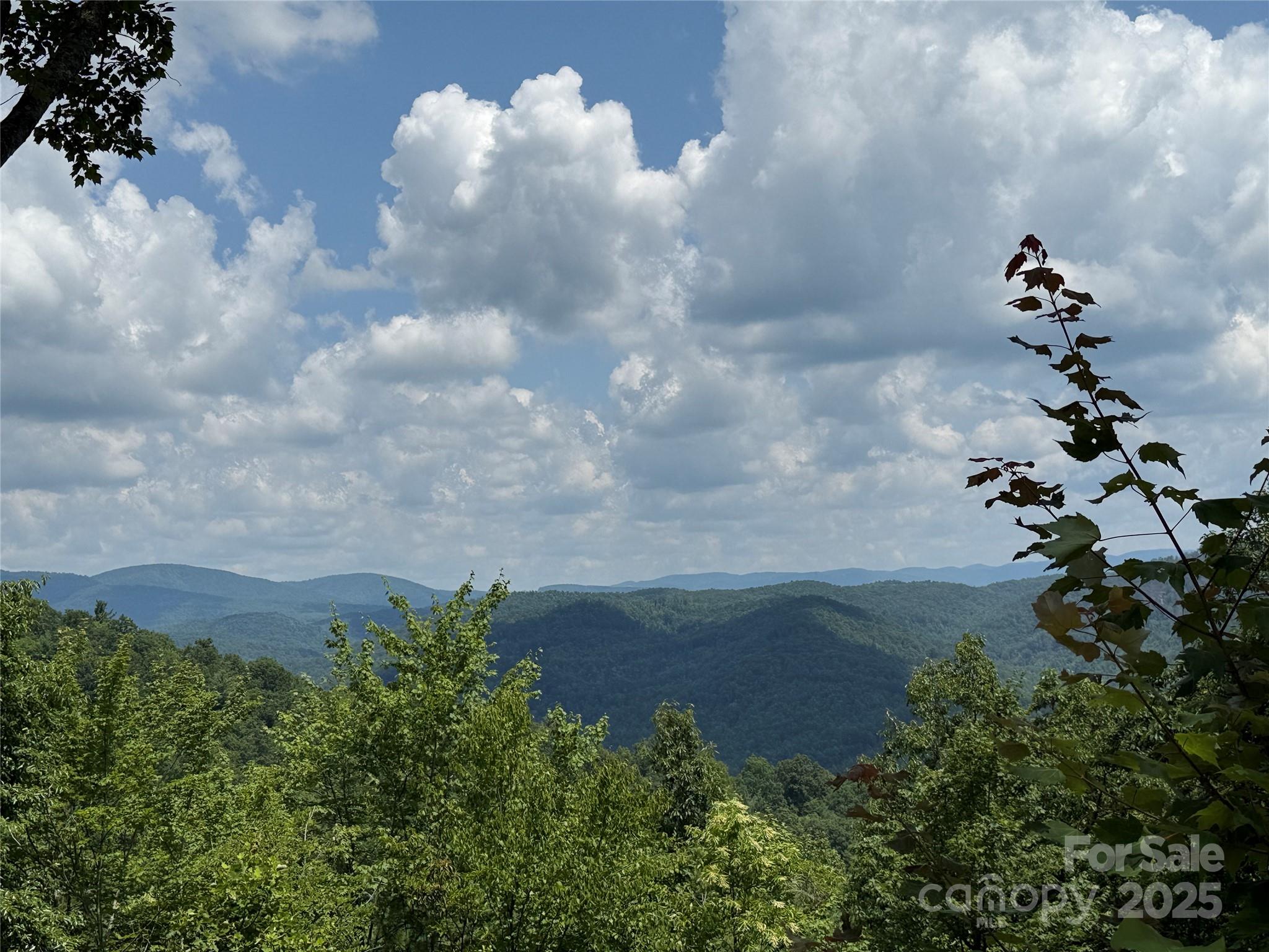 Buck Mountain - Land