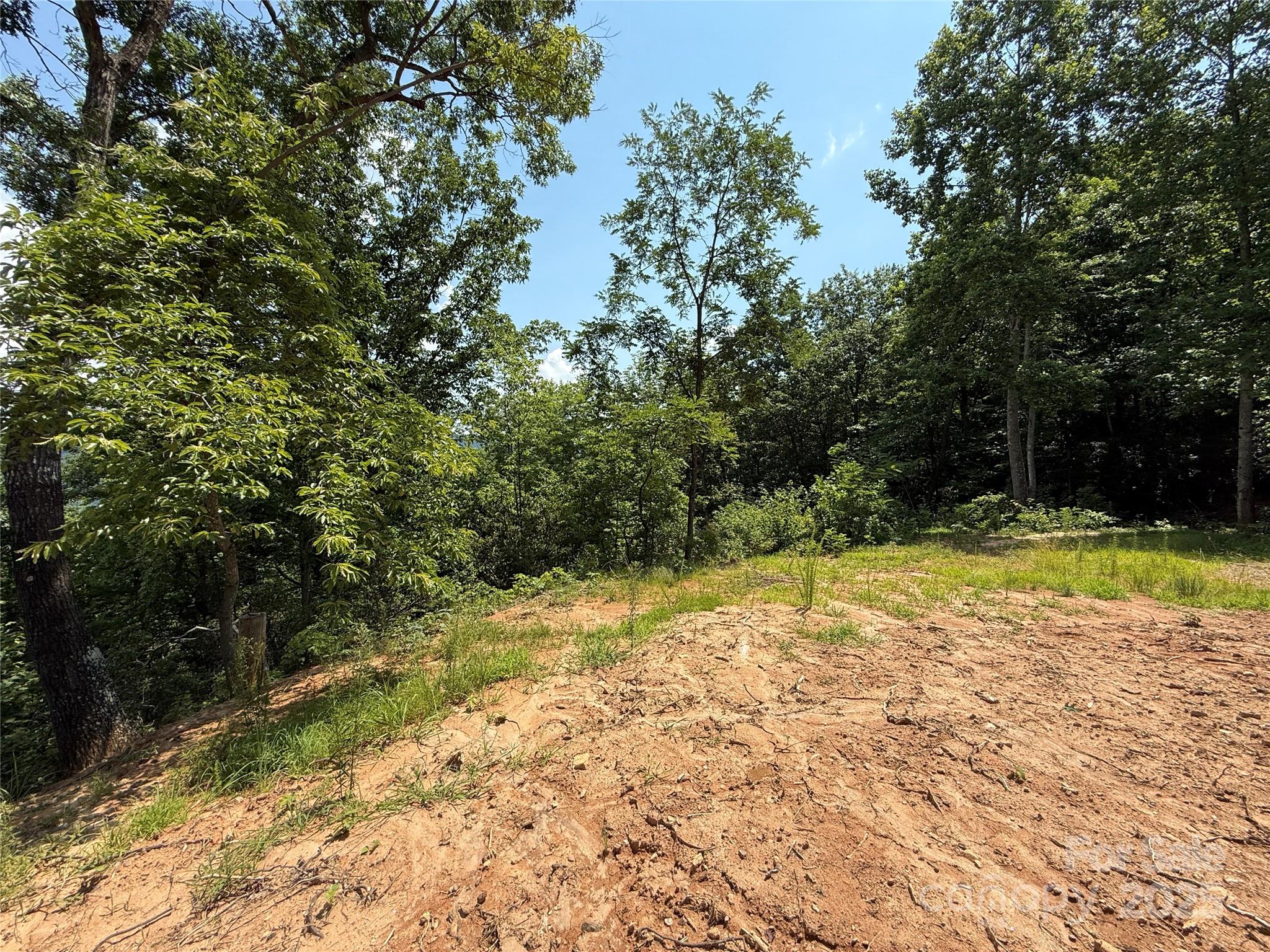 Buck Mountain - Land