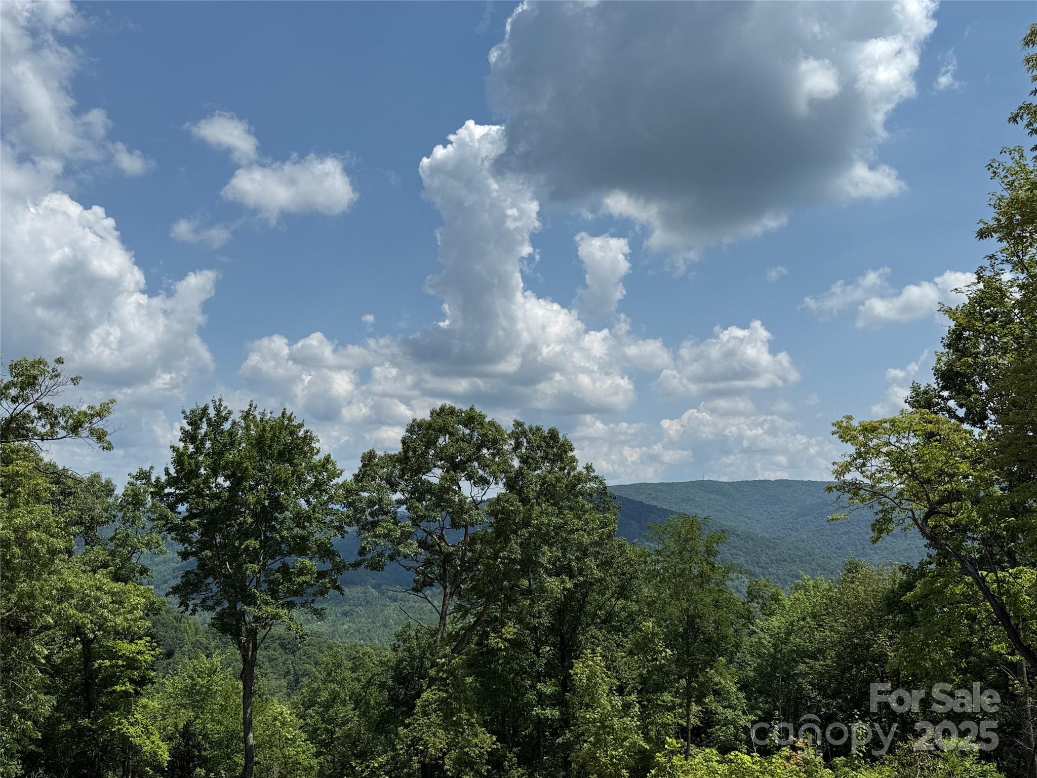 Buck Mountain - Land