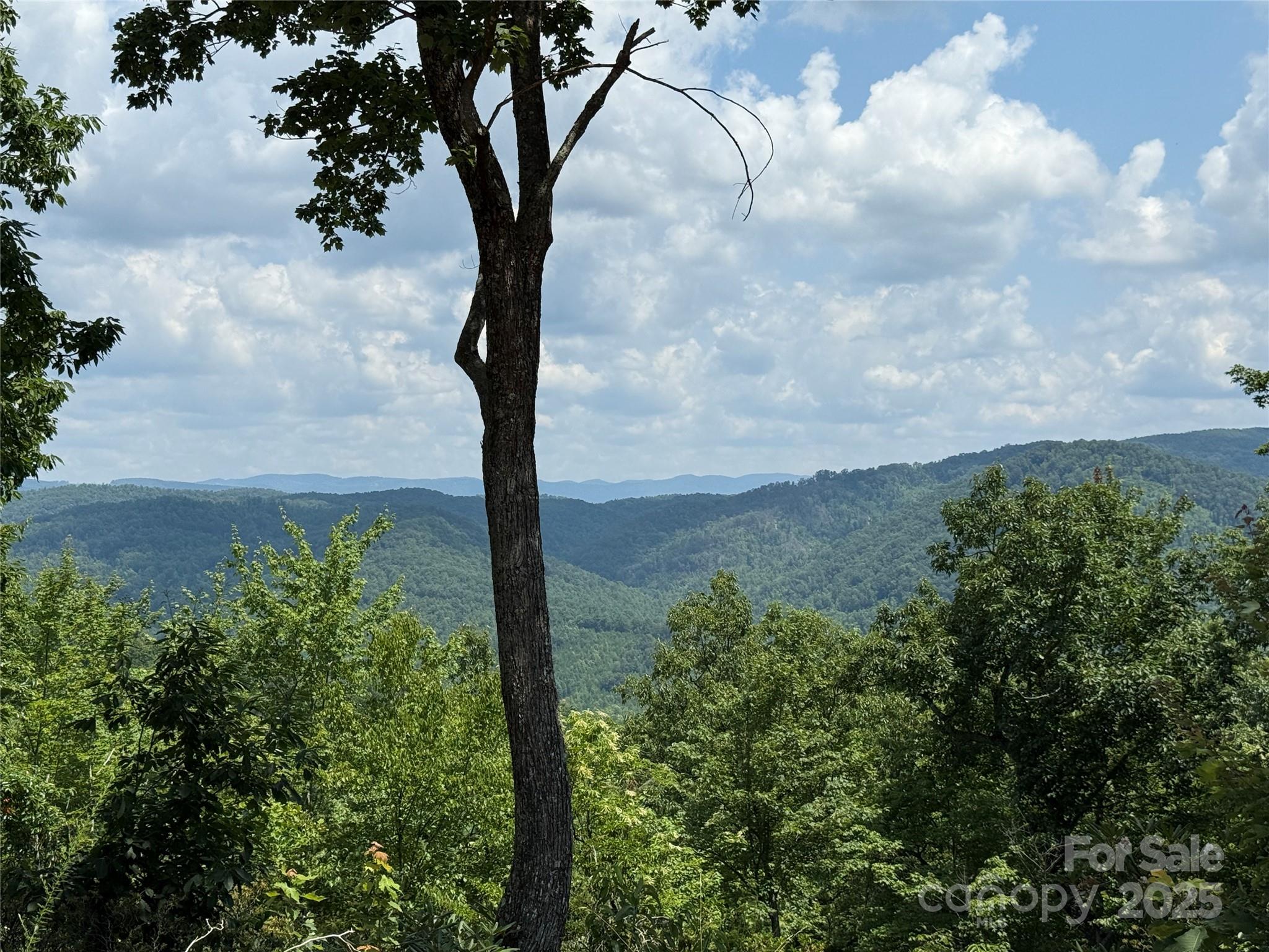Buck Mountain - Land