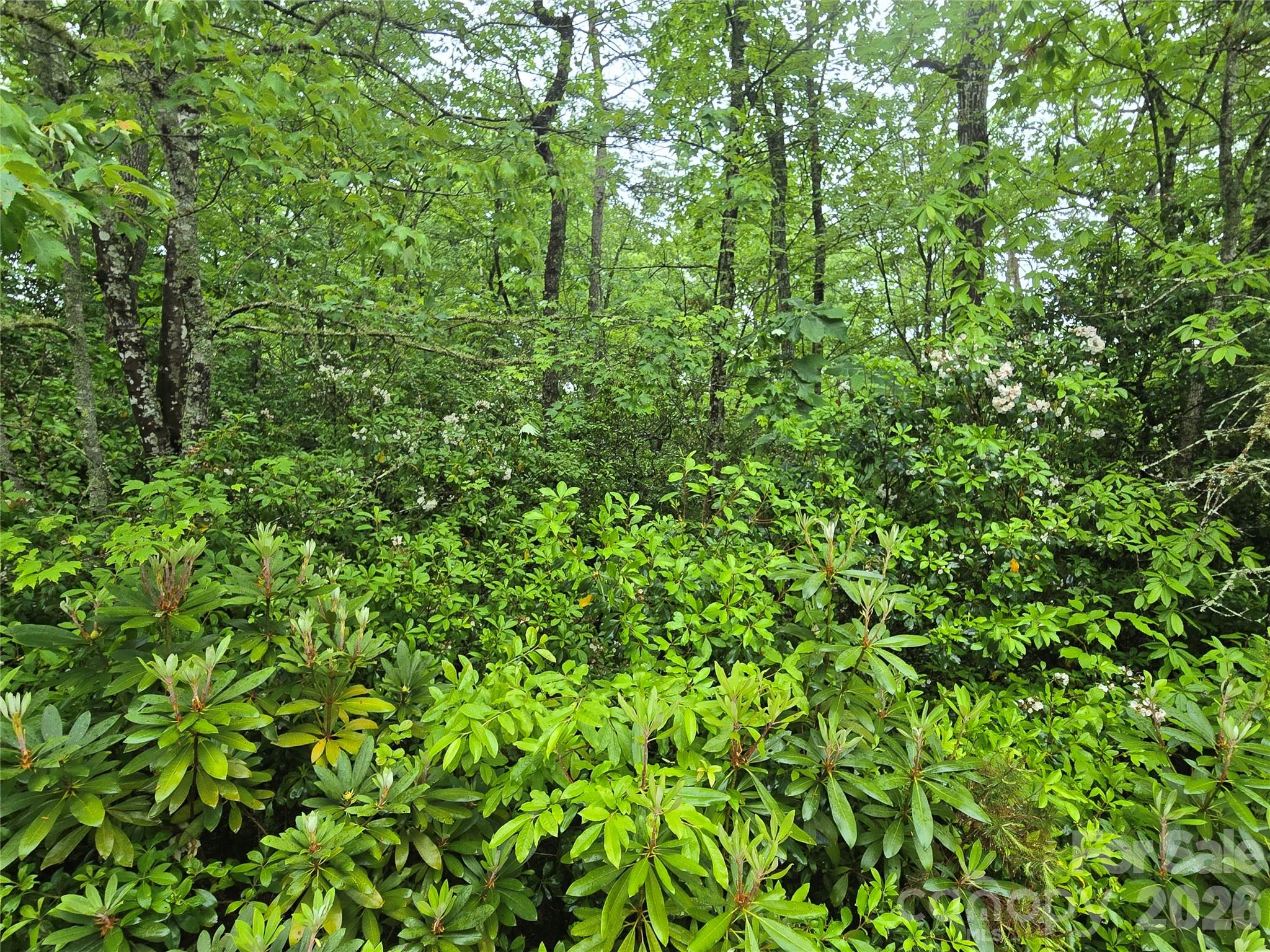 Straus Park - Land