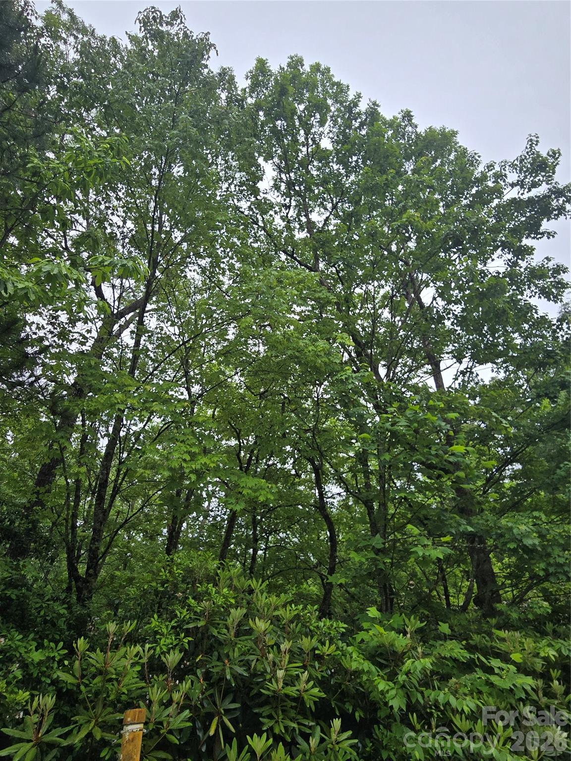 Straus Park - Land