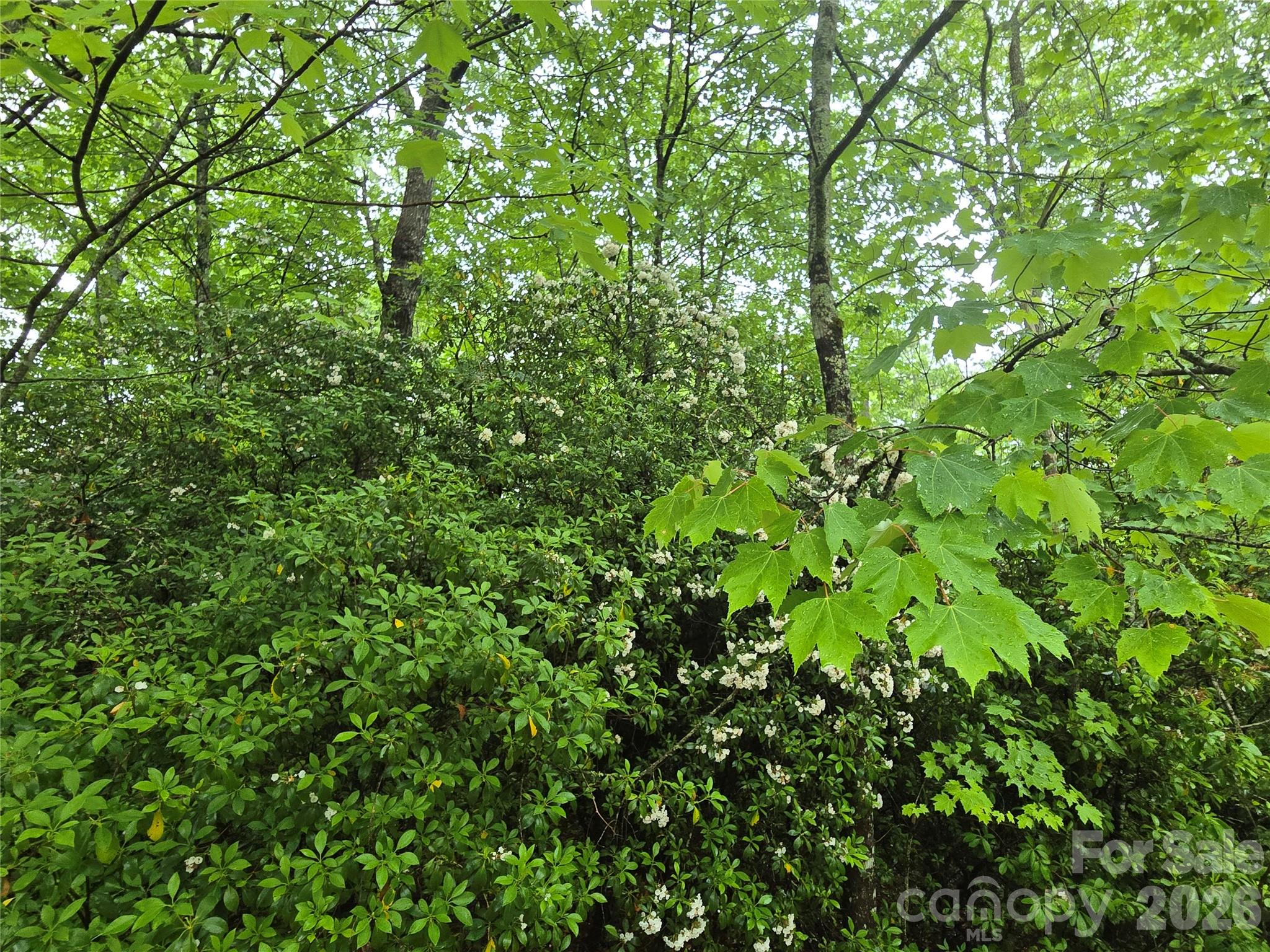 Straus Park - Land