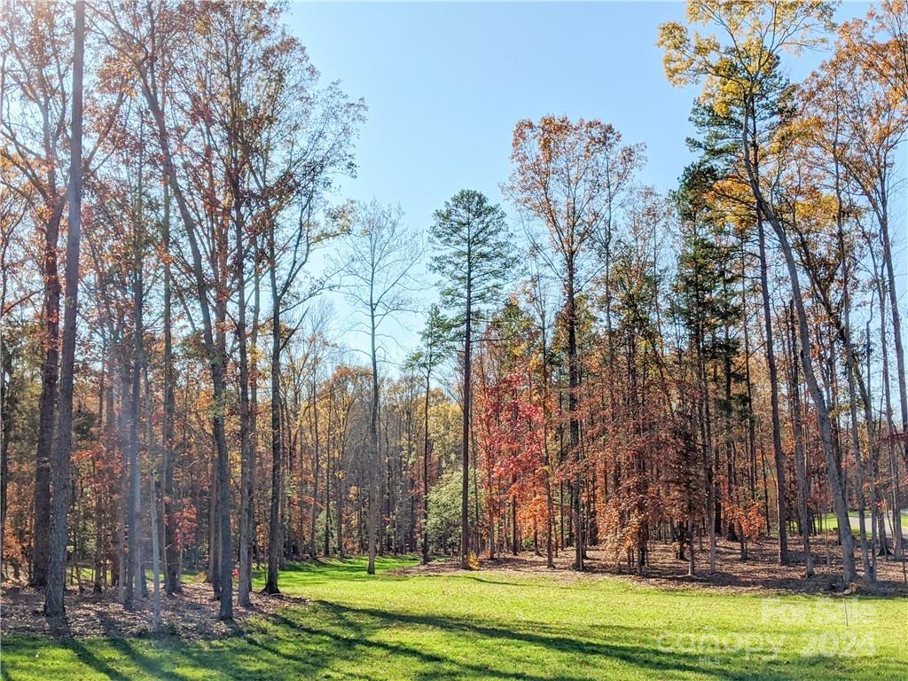 The Ridge at Fort Mill - Land