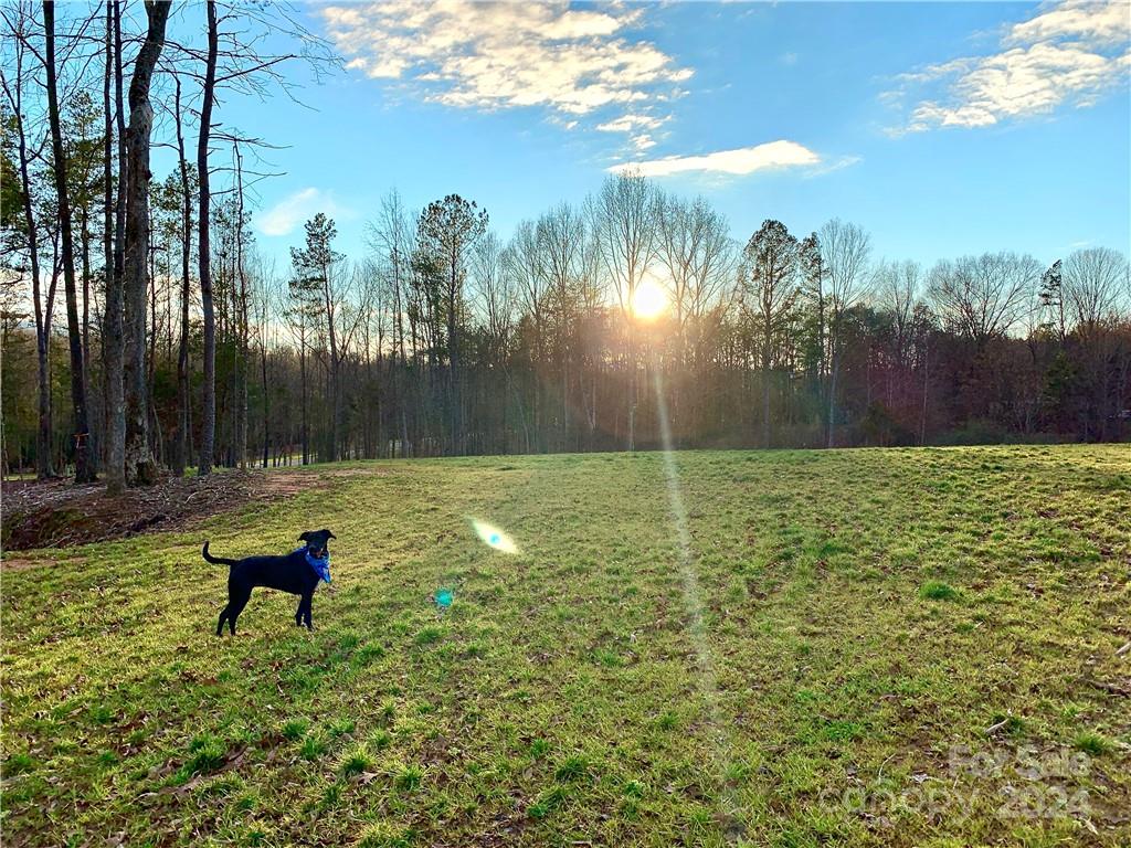 The Ridge at Fort Mill - Land