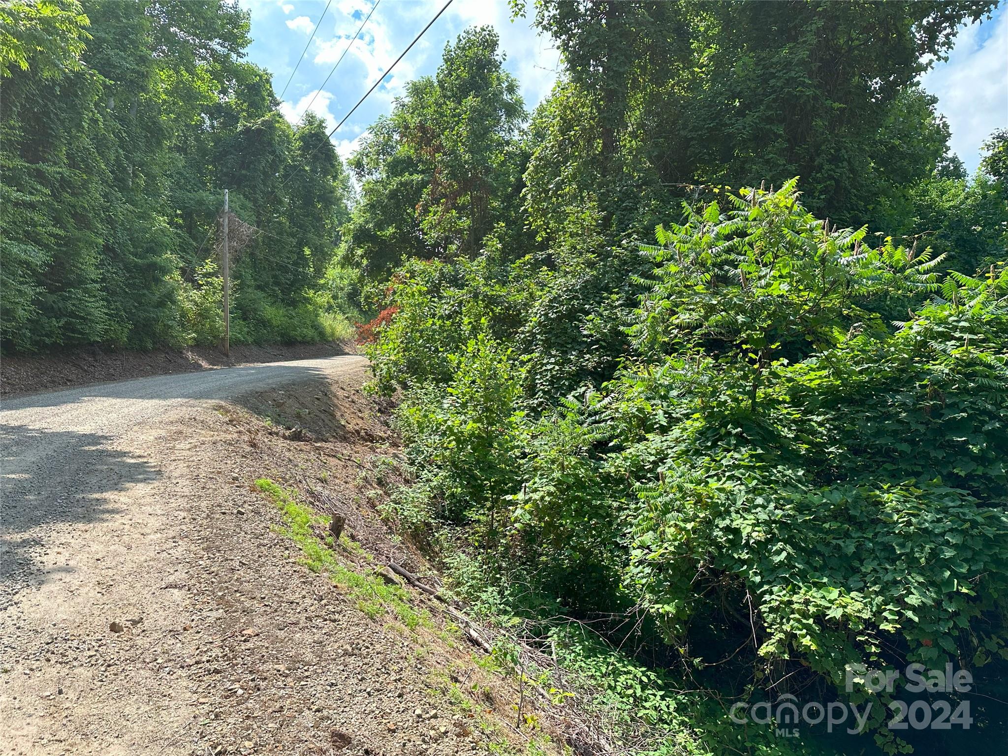 Lot 303 Slippery Rock Road