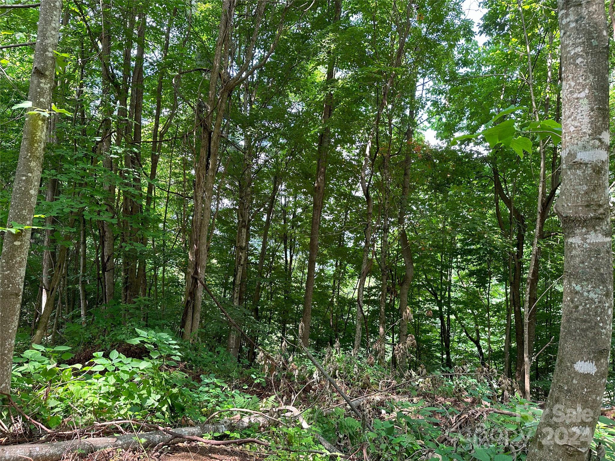 Cataloochee Ranch Estates - Land