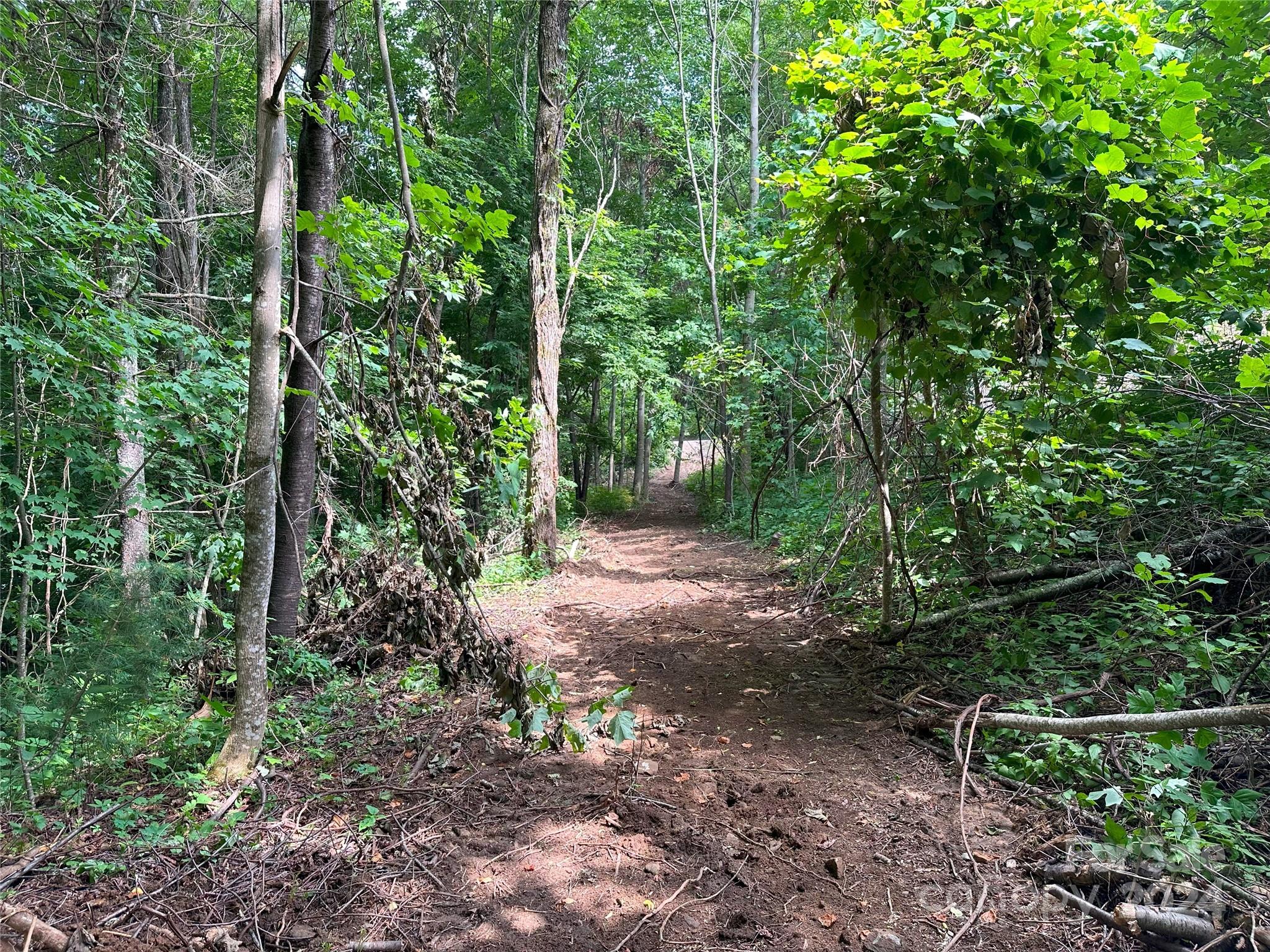 Cataloochee Ranch Estates - Land