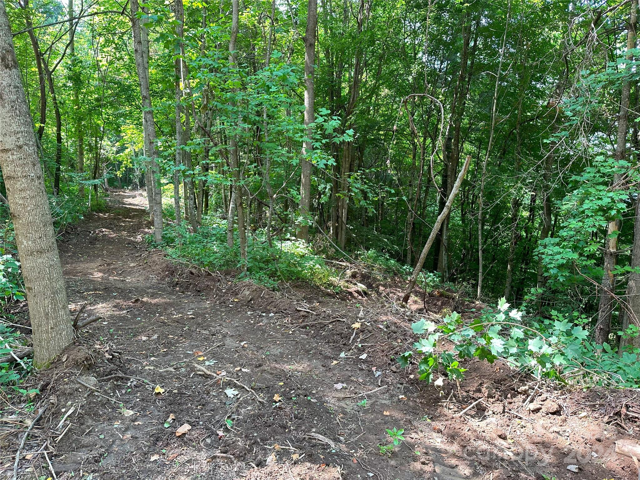 Lot 303 Slippery Rock Road