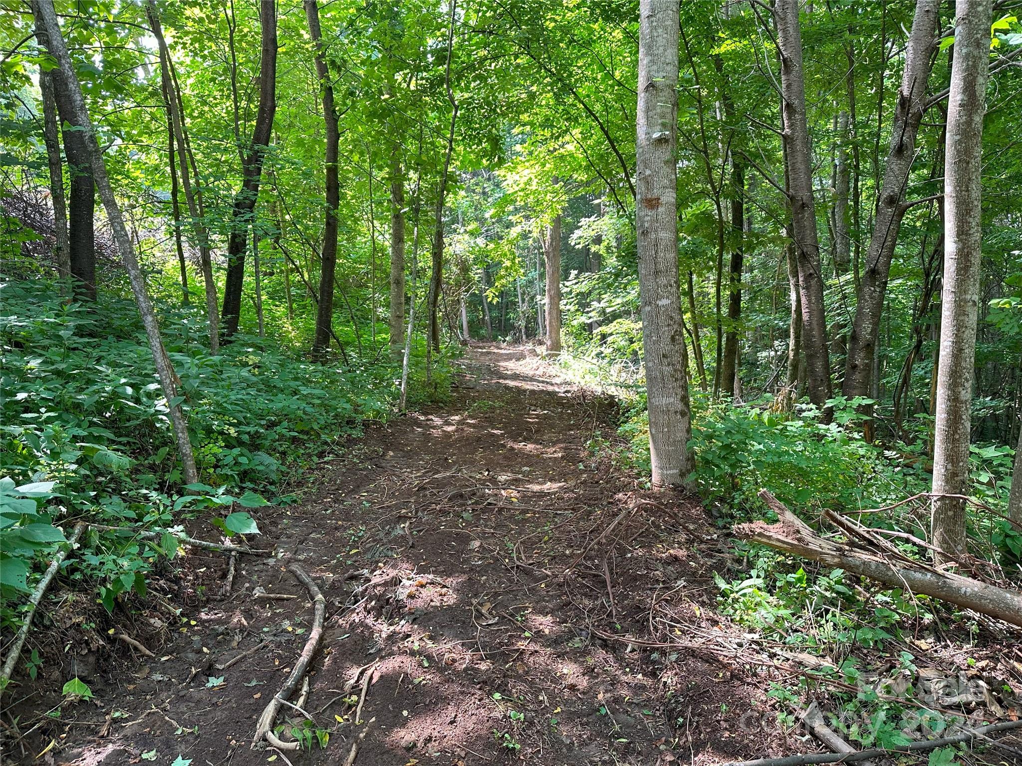 Lot 303 Slippery Rock Road