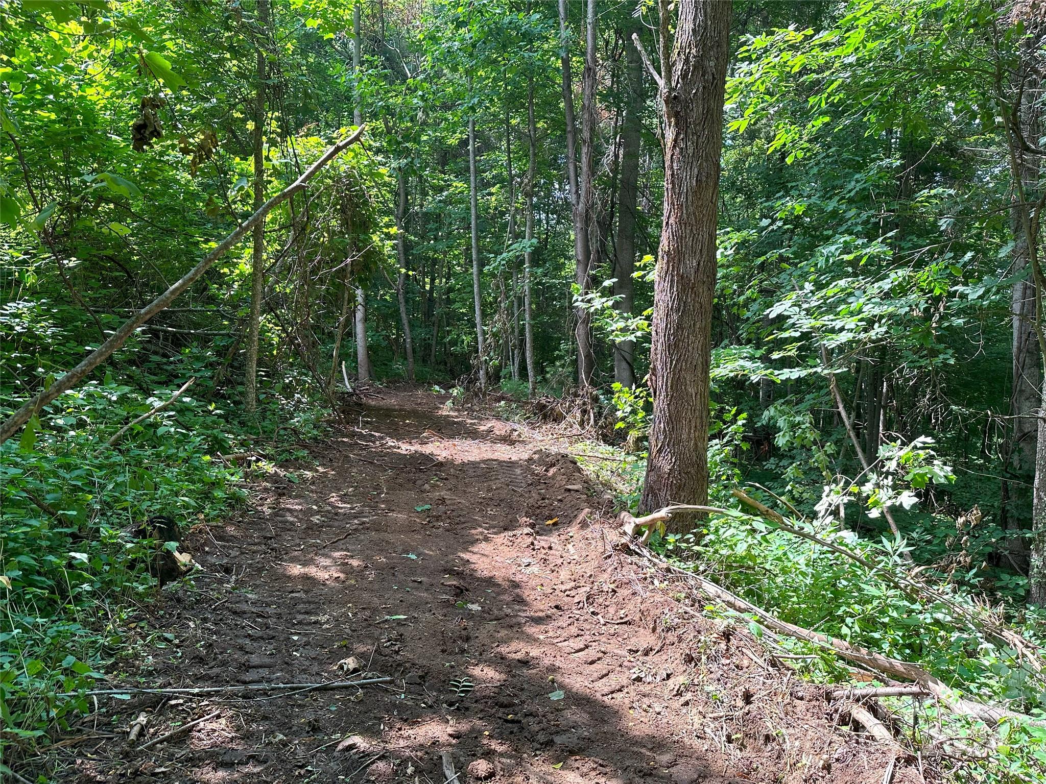 Cataloochee Ranch Estates - Land