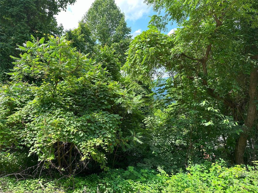 Beautiful 1.29 ac lot in the private, secluded gated community of Cataloochee Ranch Estates. Long range views are achievable with selective clearing. Gently Sloping lot for easy build. The community amenities include, automatic gate, pond, picnic area and playground. 3 bedroom septic improvement permit in place. A shared well connection may be available for a connection fee. To be determined by HOA. No manufactured or modular homes allowed. Close to Maggie Valley. Cataloochee Ski area and easy access to I-40. Short term rentals are allowed. Wonderful opportunity to build your mountain dream home.