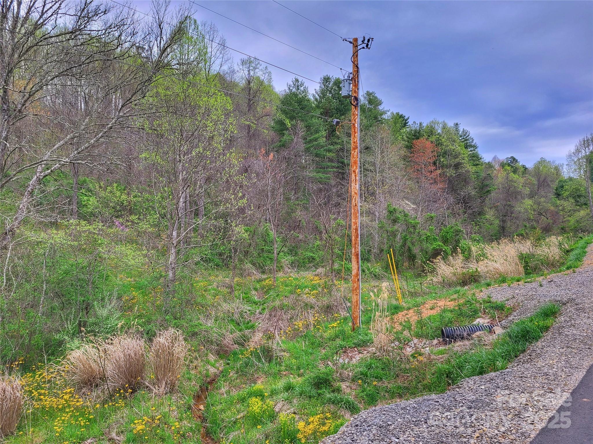 Blackberry Cove - Land