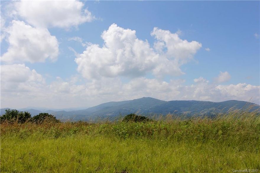 Unparalleled opportunity to build  in exclusive Diamond Creek, a gated community nestled in the Blue Ridge Mountains, known for its ideallic setting. This magnificent  8.95-acre estate property, sits high on the majestic Diamond Creek ridge with stunning long range views for miles.  Level building parcel with gentle slope towards the back of the property. Property comes with approved Meyer-Greeson plans or you can build your own.  Easy commute via helicopter.  Absolutely breathtaking!