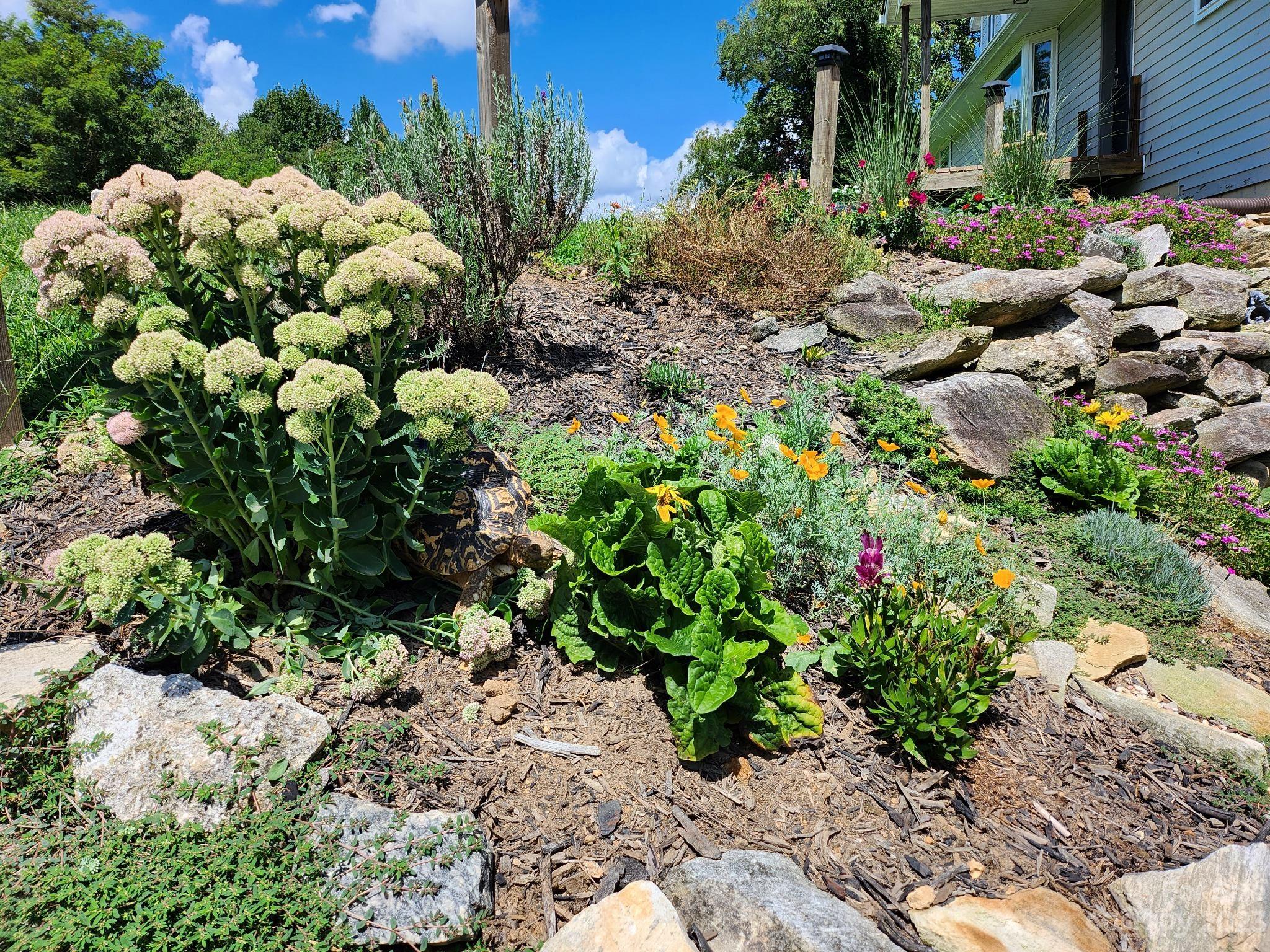 Hawke Crest - Residential