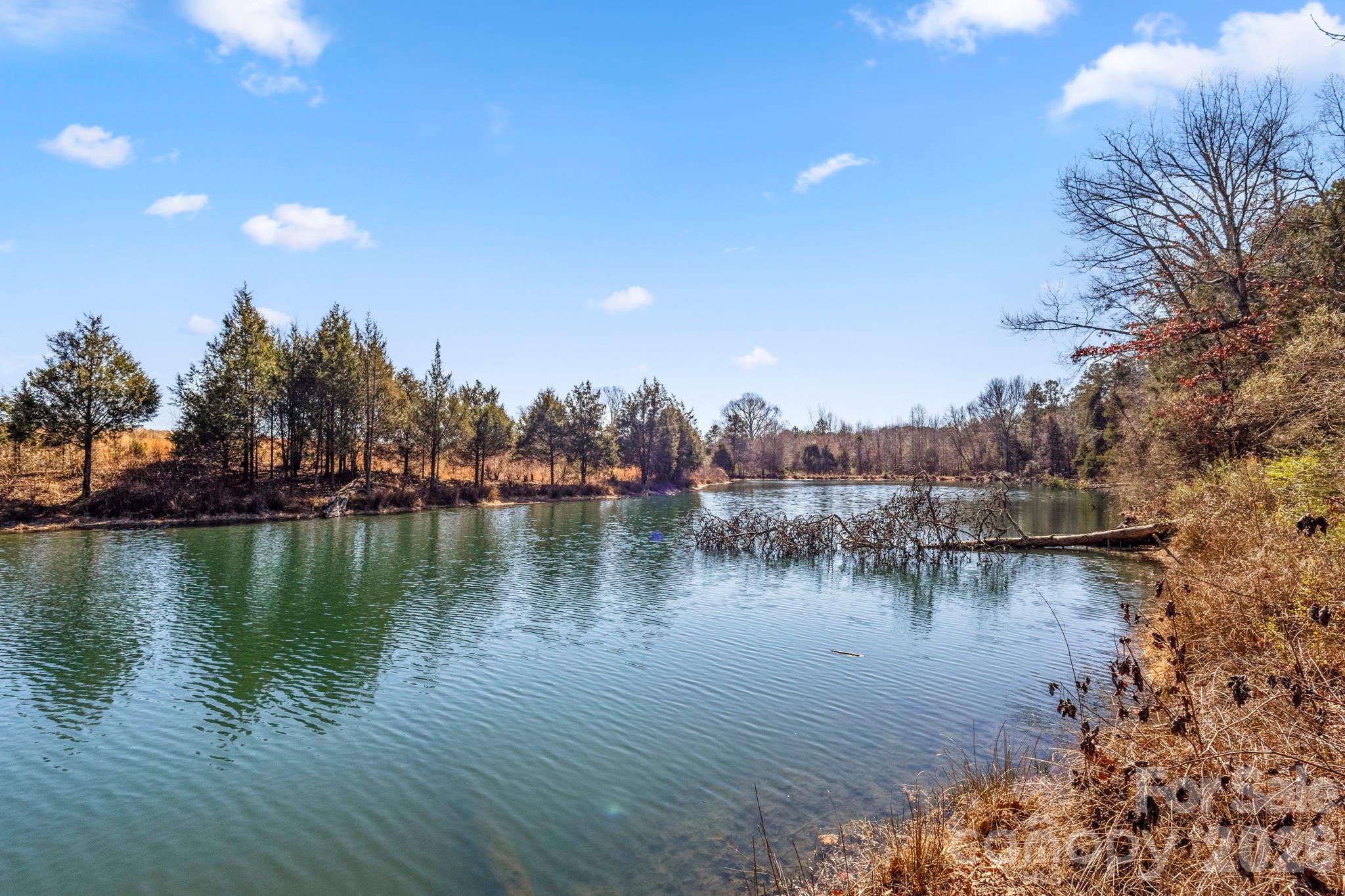 Buckleigh - Residential