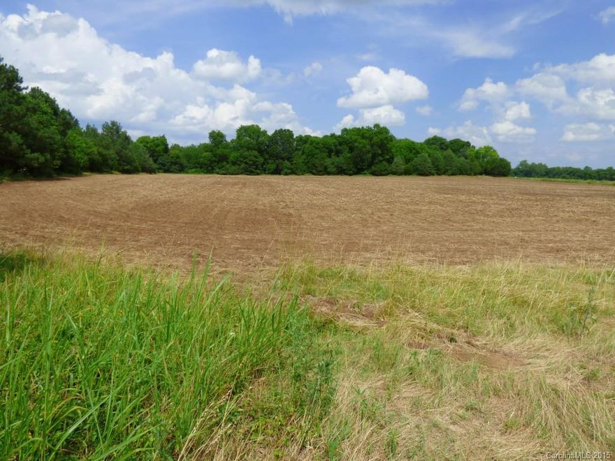 9 +/- acre tract with beautiful 1 + acre pond to be cut out of larger 44 acre tract. Survey at buyers expense to determine exact dimensions. Intended to be the western 9 +/- acre portion of parcel 5120000015. Includes road frontage with and a nice field for building your country dream home. 

Pond attracts plenty of wildlife including deer and turkey. Presently zoned RUD so modular or mobile homes are allowed. Wonderful rural neighborhood. Acreage options in MLS 3092070, 3092765, 3081945