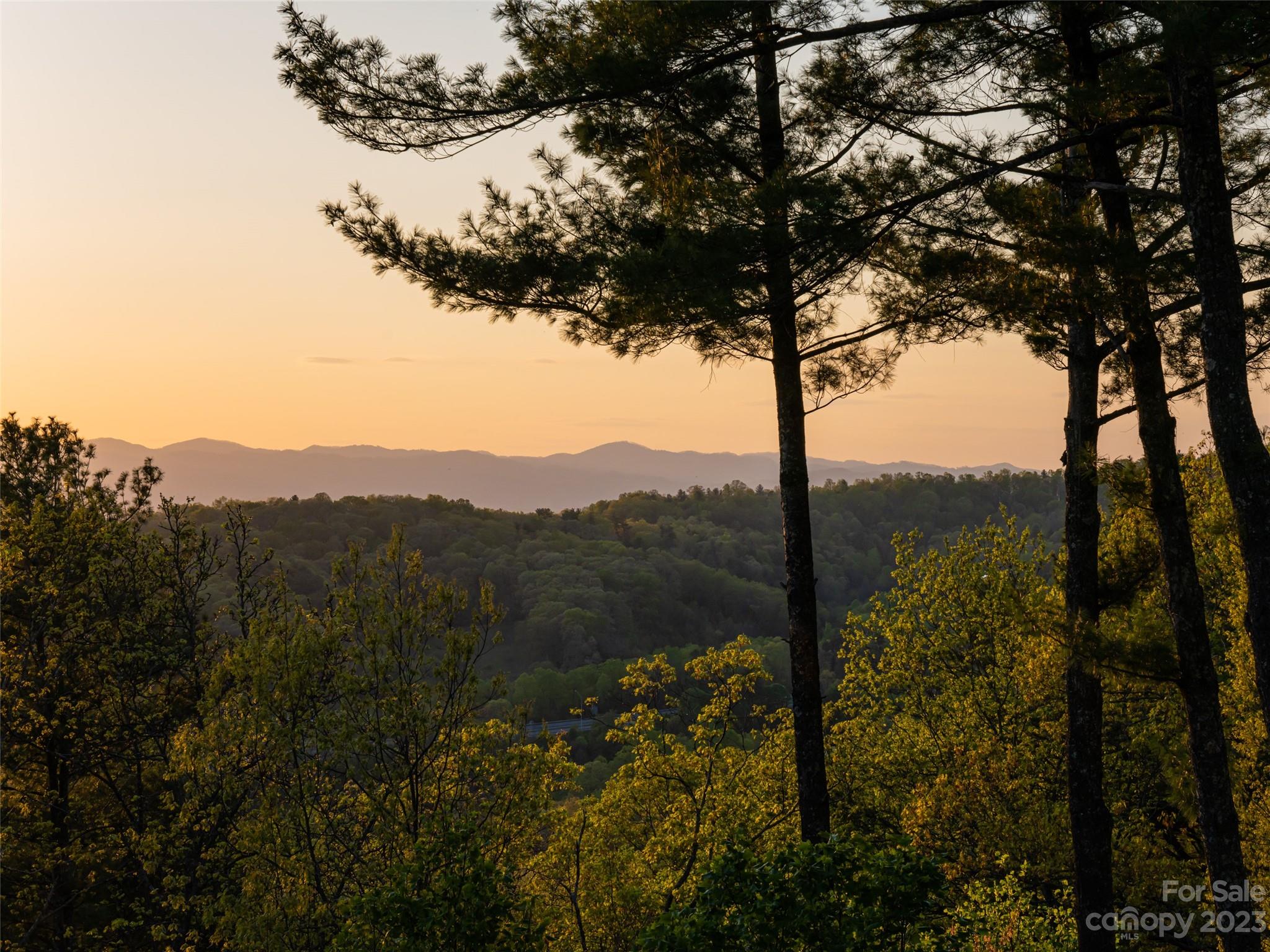 Reynolds Mountain - Residential