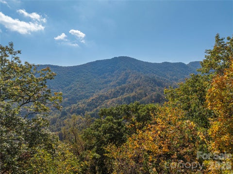 Photo of 00 Back Stage Pass, Canton, NC 28716 (MLS # 4435652)