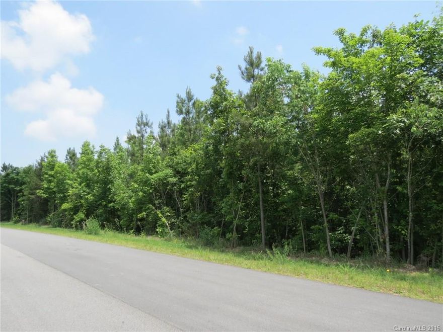 Beautiful wooded lots that are very private. Half of the lots have mature hardwoods and the remainder lots have mature pines. Located on a gently winding paved road outside of city limits. This location has easy access to downtown Clover, York and I-85. All lots are at least 1 acre in size and have plenty of trees for privacy and shade. 16 lots remain available. Can combine lots for more acreage. Minimal restrictions to keep like-in-kind properties.