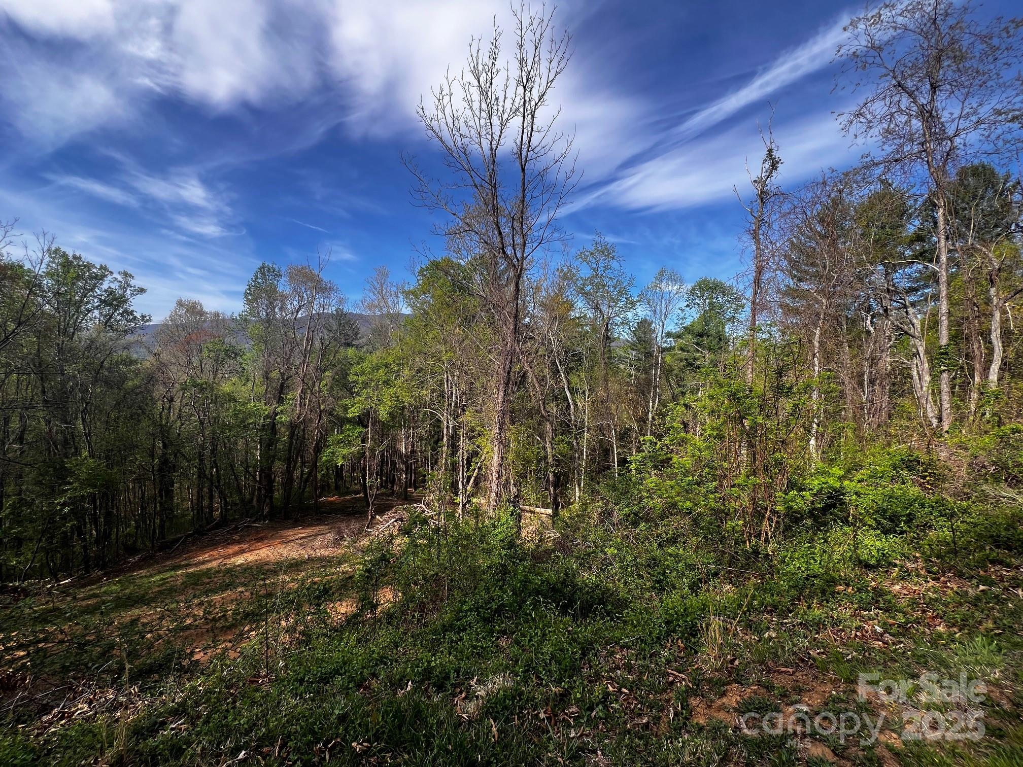 Springdale Estates - Land