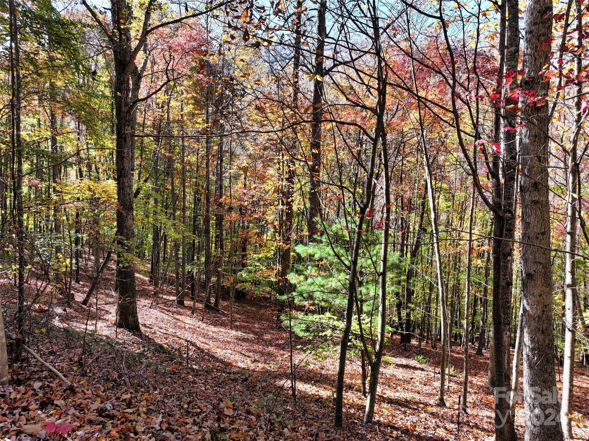 829 Stoney Stream Lane