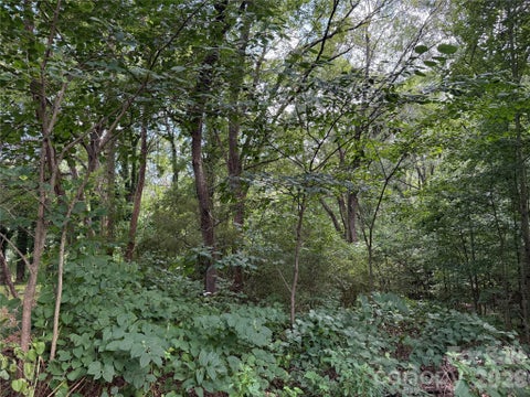 Photo of 00 Joe Ross Street, Lincolnton, NC 28092 (MLS # 4411139)