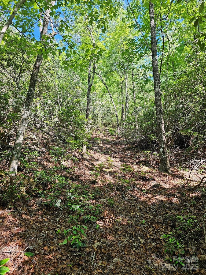 Back on the Market due to NO fault of the sellers. 14.62 Acres of Unrestricted Land with Mountain Views and National Forest Access Nestled just 6 miles from downtown Marion and only 2 minutes off Hwy 221 North, this 14.62-acre unrestricted tract offers a rare combination of privacy, natural beauty, and convenience. Backing up to thousands of acres of U.S. Forest Service land, the property features mountain views, mature hardwoods, and a septic permit approved for up to 5 bedrooms—making it ready for your dream build. Enjoy the peace and seclusion of nature while staying close to modern amenities, dining, and entertainment. Outdoor enthusiasts will love the proximity to Linville Falls (30 minutes), Lake James (20 minutes), and nearby hiking, biking, and trail systems.
Whether you're planning a private estate, a second-home getaway, or an outdoor retreat, this property is a blank canvas with endless possibilities. Embrace the quiet, the views, and the lifestyle you've been waiting for.