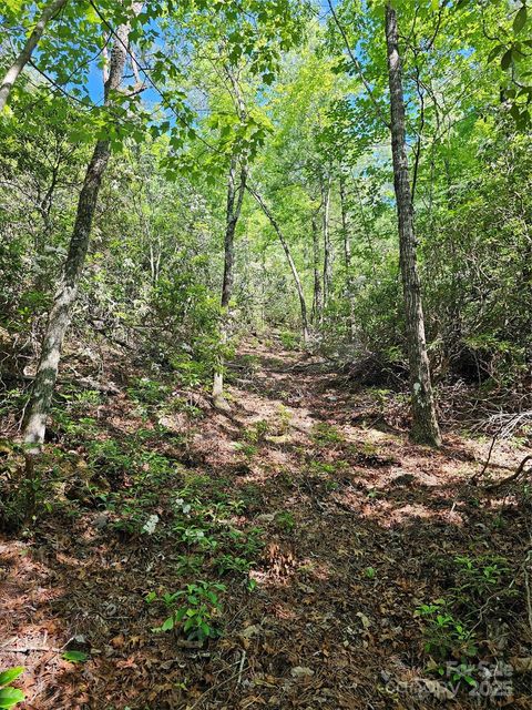 101 Arbor View Drive Marion NC 28752